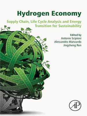 cover image of Hydrogen Economy